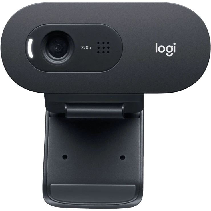 Веб-камера Logitech WebCam C505e (960-001372) - 960-001372/960-001373 - фото 2