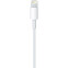 Кабель USB - Lightning, 1м, Apple MXLY2ZM(FE)/MUQW3ZM/A - фото 2