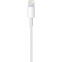 Кабель USB - Lightning, 1м, Apple MXLY2ZM(FE)/A - фото 2