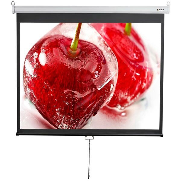 Экран Digis Optimal-D 254x190см MW