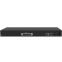 VoIP-шлюз Yeastar TA2400 - фото 2
