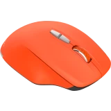 Мышь Canyon CNS-CMSW21R