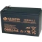 Аккумуляторная батарея B.B.Battery SHR 10-12