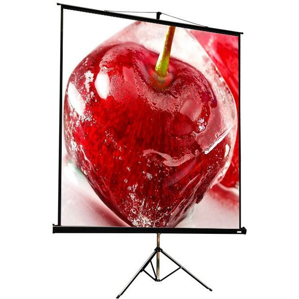 Экран ViewScreen Clamp Pro 127x127см (TCP-1101)
