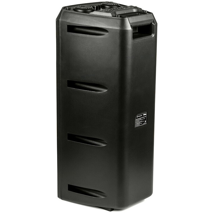 Портативная акустика Dialog AO-12 Black - фото 4