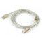 Кабель USB A (M) - USB B (M), 3м, Gembird CCF-USB2-AMBM-TR-10