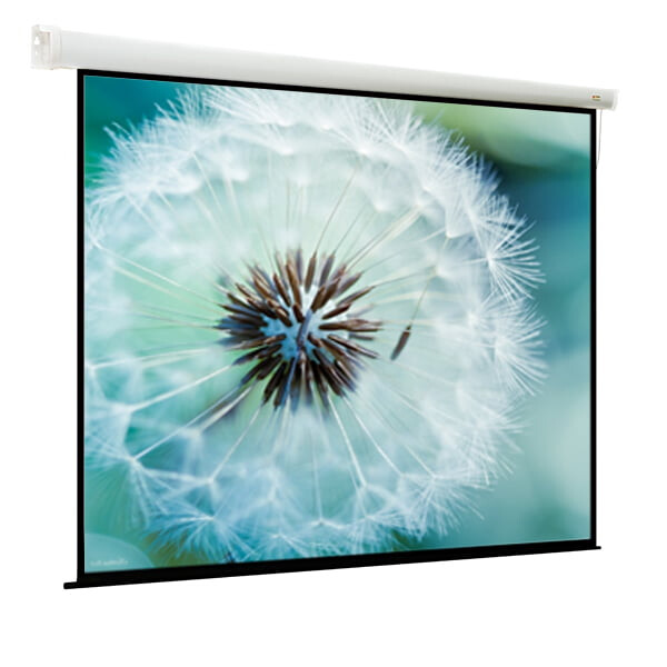 Экран ViewScreen Breston 203x203см (EBR-16903)
