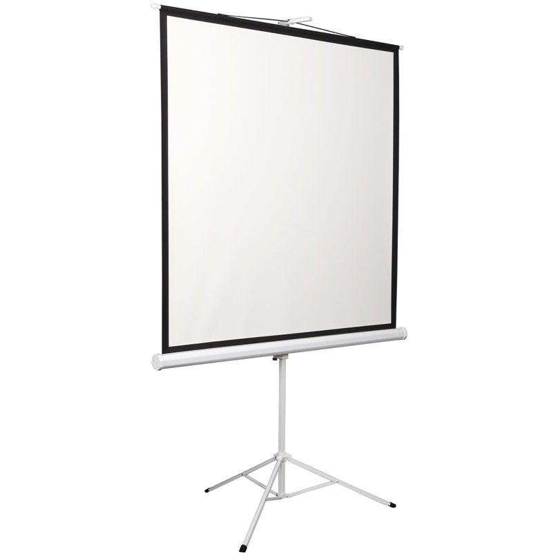 Экран Digis Kontur-D 248x250см MW - DSKD-1108 - фото 2