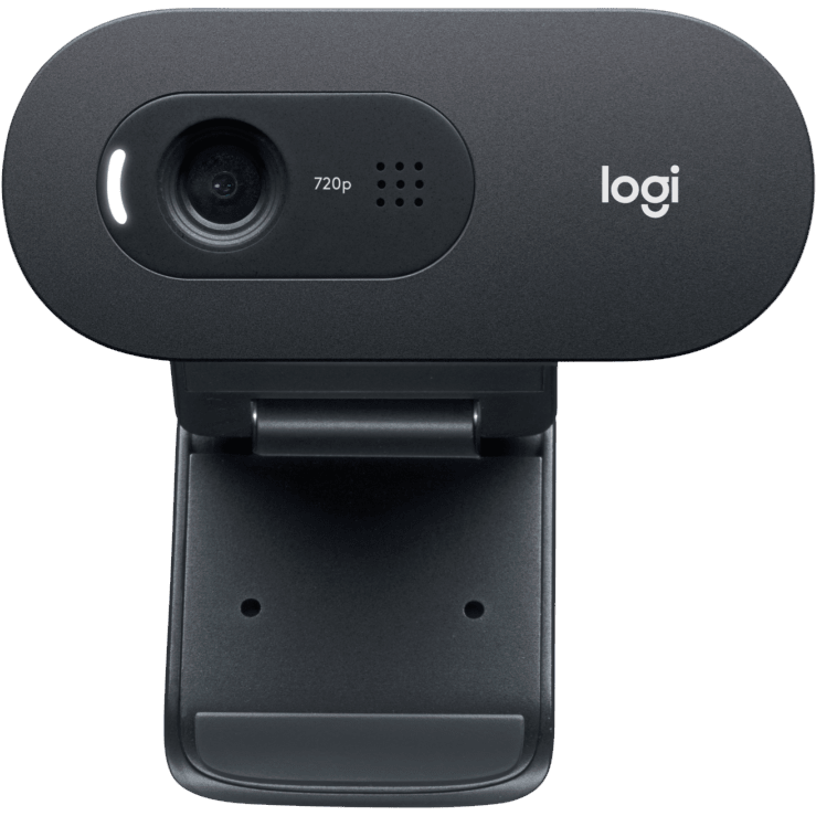 Веб-камера Logitech WebCam C505 HD (960-001364) - фото 2