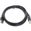 Кабель USB A (M) - USB B (M), 1.8м, Gembird CCP-USB2-AMBM-6