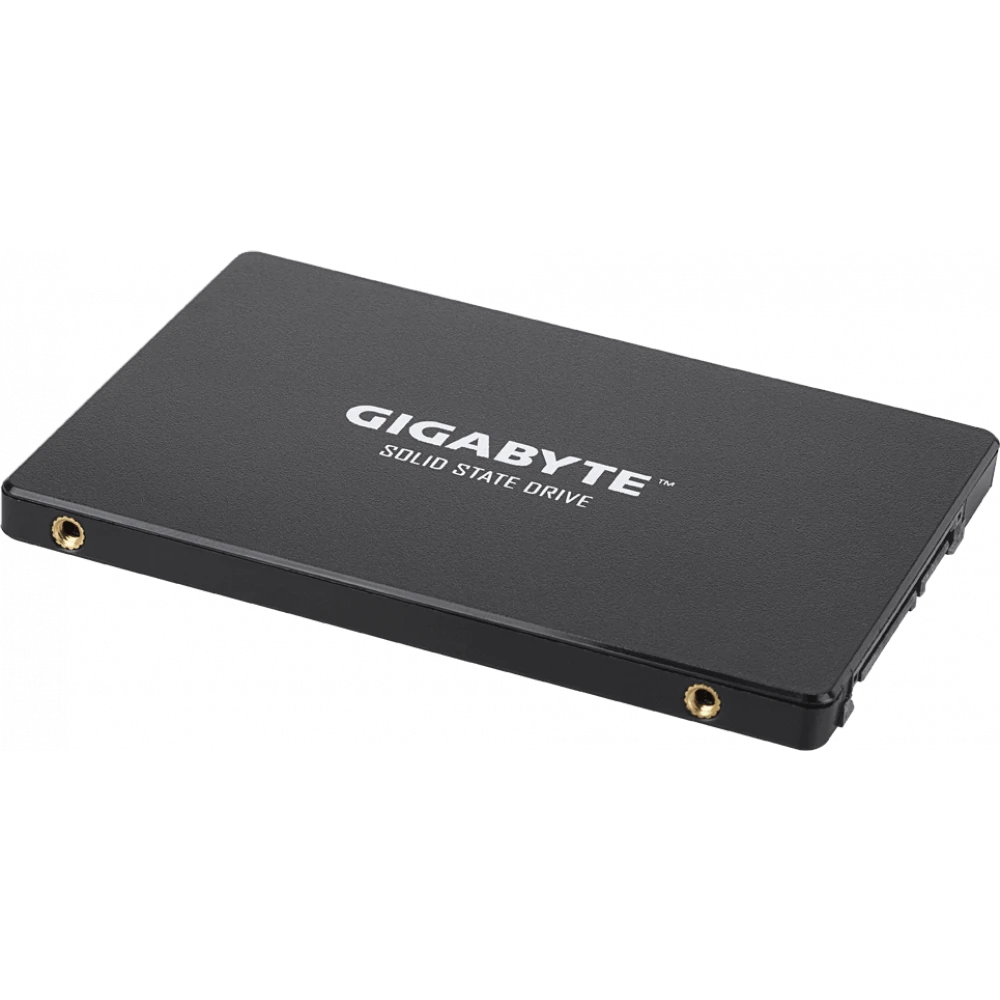 Накопитель SSD 1Tb Gigabyte (GP-GSTFS31100TNTD)