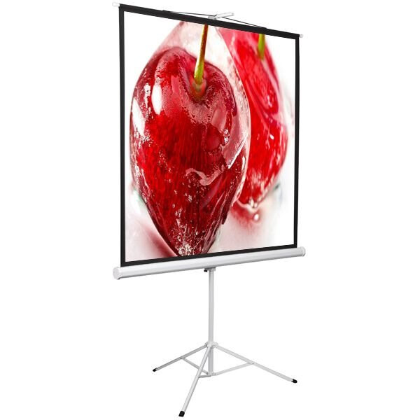 Экран Digis Kontur-D 186x189см MW (DSKD-1105)