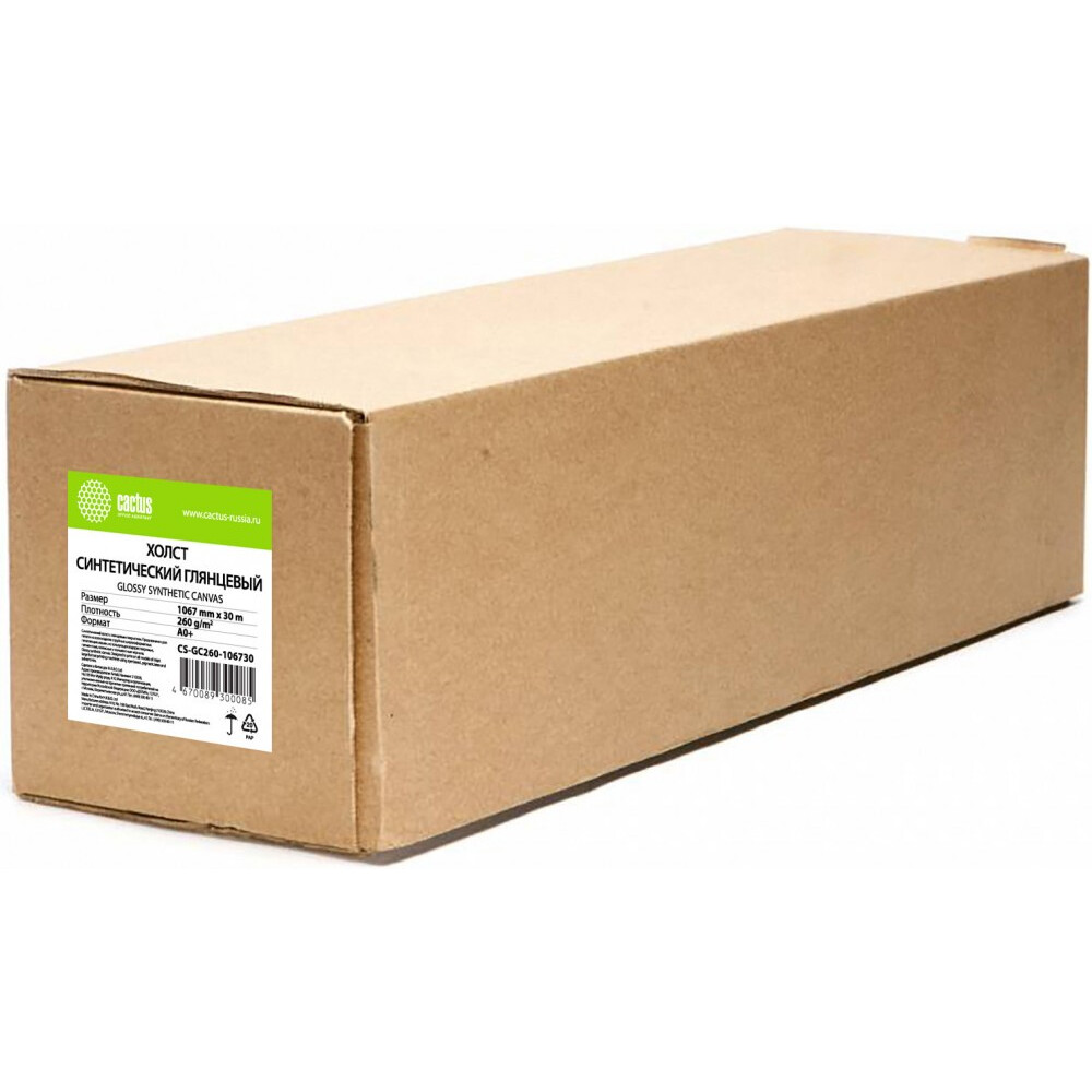 Холст Cactus CS-GC260-106730