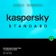 ПО Kaspersky Standard 3-Device 1 year Base Card (KL1041ROCFS)