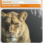Коврик для мыши Defender Wild Animals S - 50803 - фото 8
