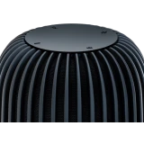 Умная колонка SBER SberBoom Black (SBDV-00090a)