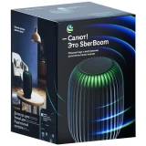 Умная колонка SBER SberBoom Black (SBDV-00090a)