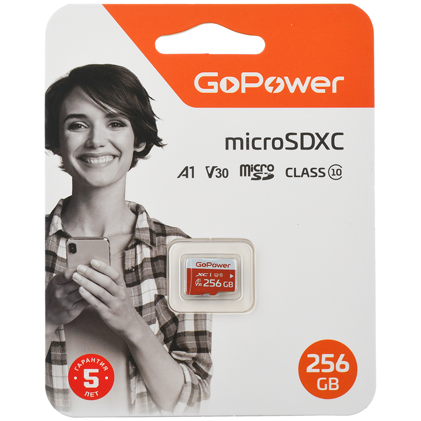 Карта памяти 256GB MicroSD GoPower (00-00025684)