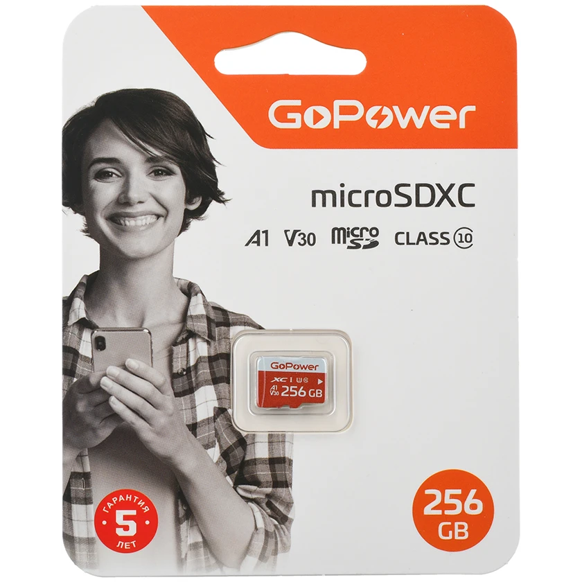 Карта памяти 256Gb MicroSD GoPower (00-00025684)