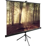 Экран Cactus TriExpert 135x180см (CS-PSTE-180X135-BK)