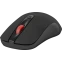 Мышь Defender MS-195 Black (52195) - фото 2