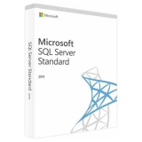 ПО Microsoft SQL Server Standard Edition 2019 English DVD 10 Client (228-11548)