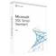 ПО Microsoft SQL Server Standard Edition 2019 English DVD 10 Client (228-11548)