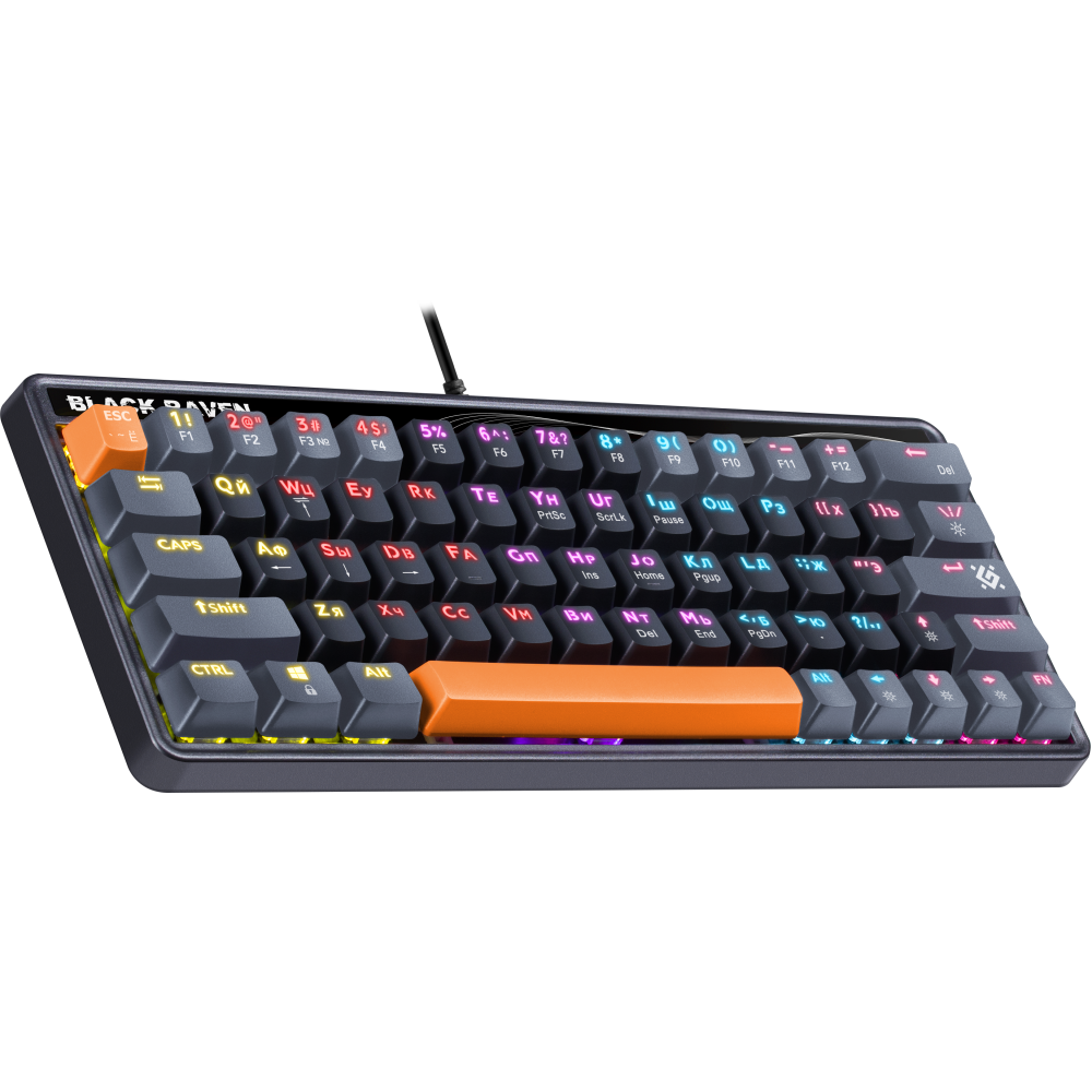 Клавиатура Defender Black Raven GK-417 (45414) - фото 2