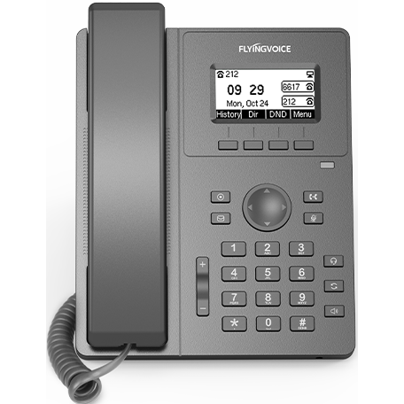 VoIP-телефон Flyingvoice P10P - фото 3