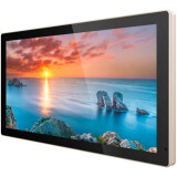ЖК панель Goodview 55" TC55H1