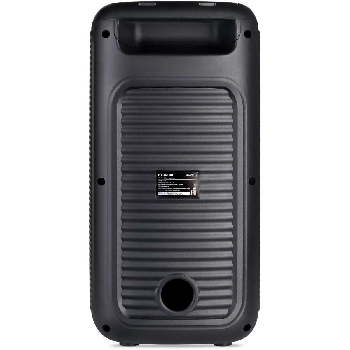 Портативная акустика Hyundai H-MC1231 Black - фото 7