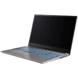 Ноутбук Nerpa Caspica I752-15 (I752-15AD165202G)