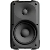 Акустическая система LD Systems DQOR 5T B (LDDQOR5TB)