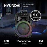 Акустическая система Hyundai H-MC1295 Black