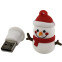 USB Flash накопитель 32Gb SmartBuy Snow Paul (SB32GBSnowP)
