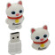 USB Flash накопитель 64Gb SmartBuy Wild Cat White (SB64GBCatW)