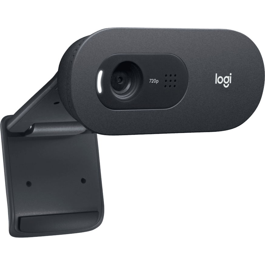 Веб-камера Logitech WebCam C505 HD (960-001364) - фото 3