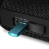 Портативная акустика Sven PS-315 Black (SV-021702)