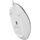 Мышь A4Tech Fstyler FM26S Icy White (FM26S USB (ICY WHITE))