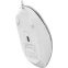 Мышь A4Tech Fstyler FM26S Icy White - FM26S USB (ICY WHITE) - фото 9
