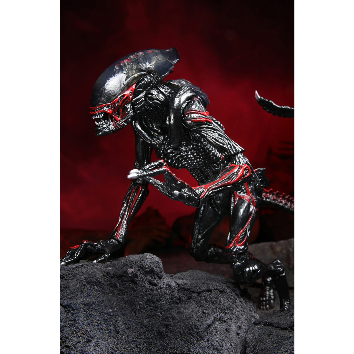 Фигурка NECA Alien – 7” Scale Action Figure – Ultimate Kenner Tribute Night Cougar Alien - 634882517167 - фото 2