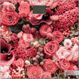 Напольные весы HOMESTAR HS-6001L (005206)