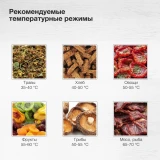 Сушилка Starwind SFD9535