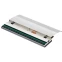 Печатающая головка TSC PH-MH241-0002