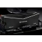 Оперативная память 64Gb DDR5 6000MHz Acer Predator Pallas II Black (BL.9BWWR.437) (2x32Gb KIT) - фото 2