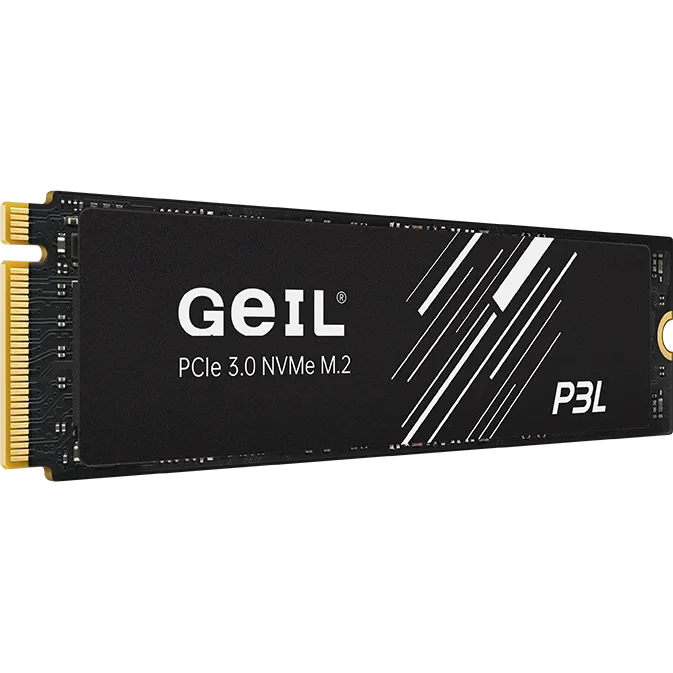 Накопитель SSD 4Tb GeIL P3L (P3LFD16I4TBA)