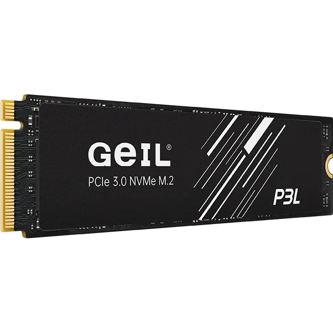 Накопитель SSD 512Gb GeIL P3L (P3LFD16I512D)