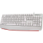 Клавиатура Defender Atom HB-546 White (45547) - фото 5