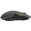 Мышь Acer OMR305 - ZL.MCECC.020 - фото 2