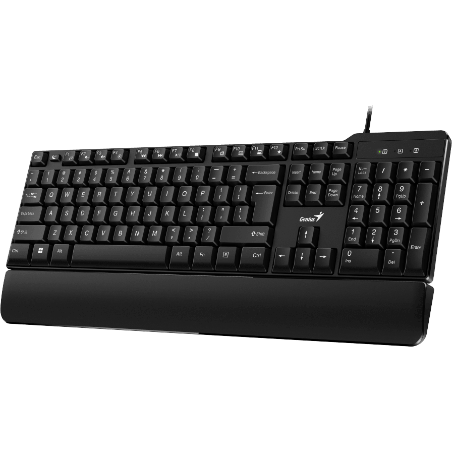 Клавиатура Genius KB-100XP Black - 31310050402 - фото 4